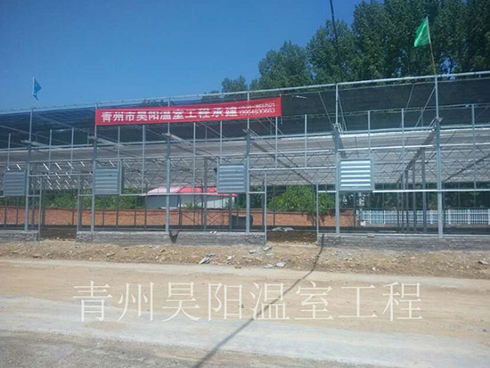 河南欒川蘭花村花卉市場